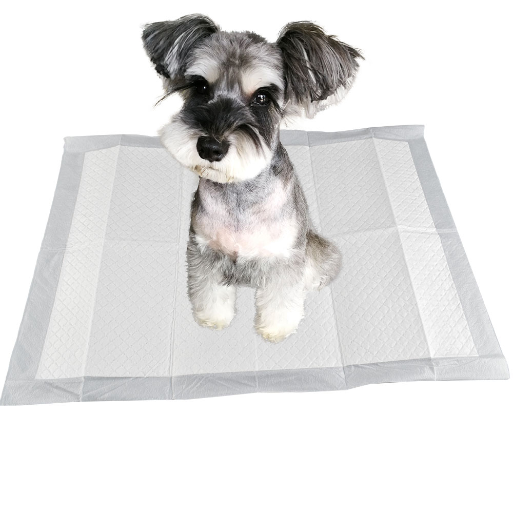 Compostable Pad Pet pads Training Pad Zero Leakage