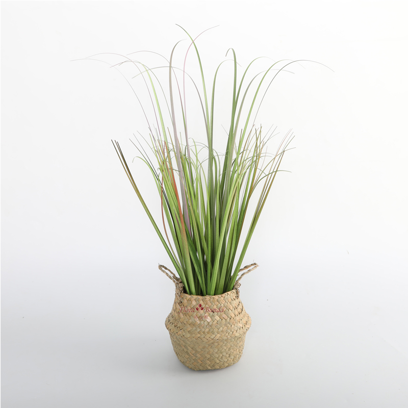 FLORA BUNDA (SHENZHEN) LTD – Wholesalers 4