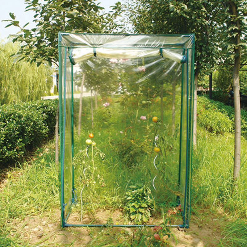 Tomato green house with PVC COVER