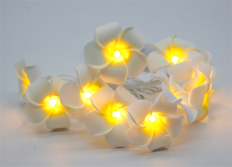 LUCKY STAR FAITH GUANGZHOU CO LTD – bombilla led 1