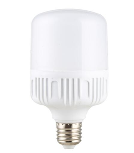 LED Bulb T Bulb