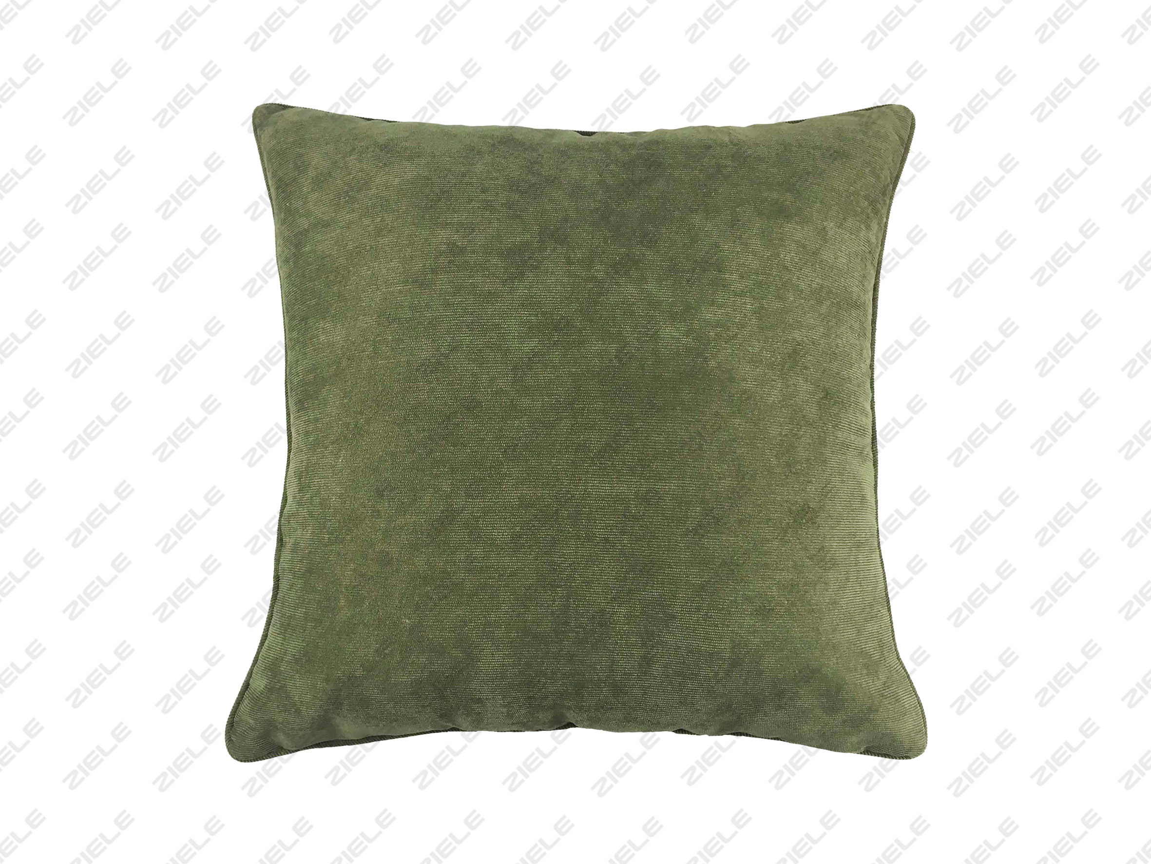 Cushion