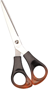Amber Scissors；Scissors