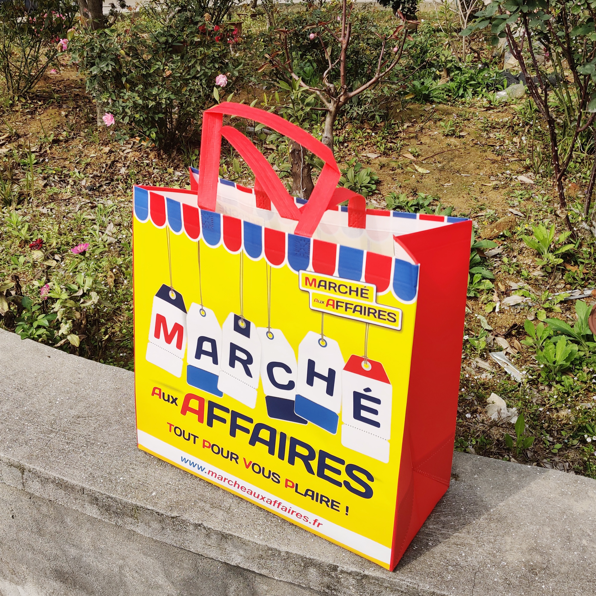 Non Woven Bag