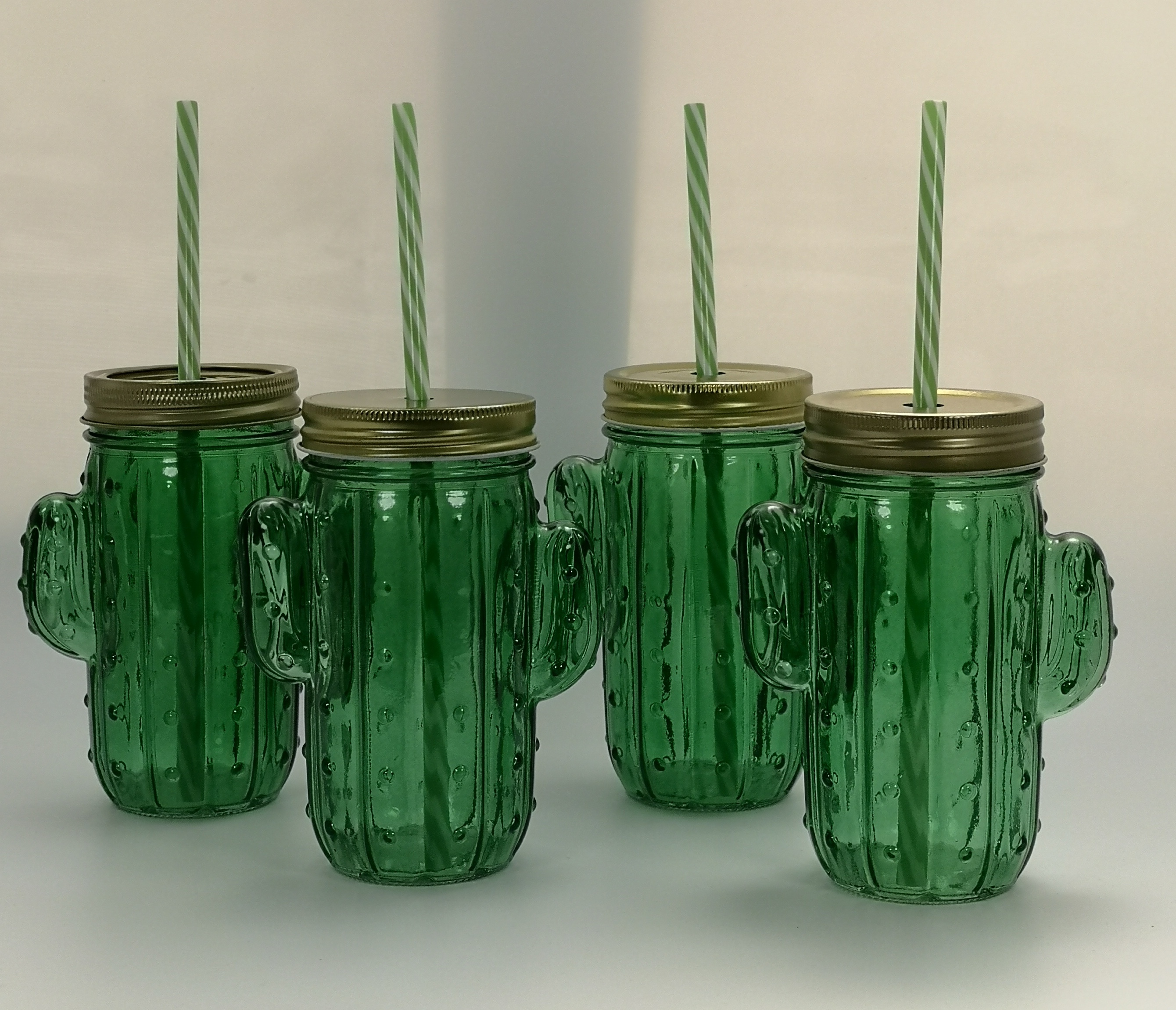 Cactus glass jar