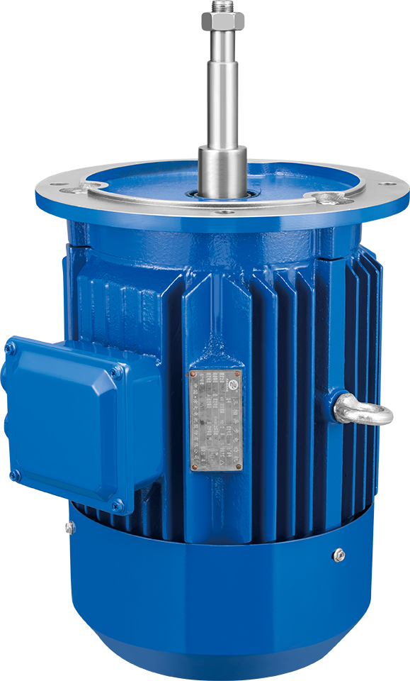 Three Phase Induction Motor For Pipeline Pump