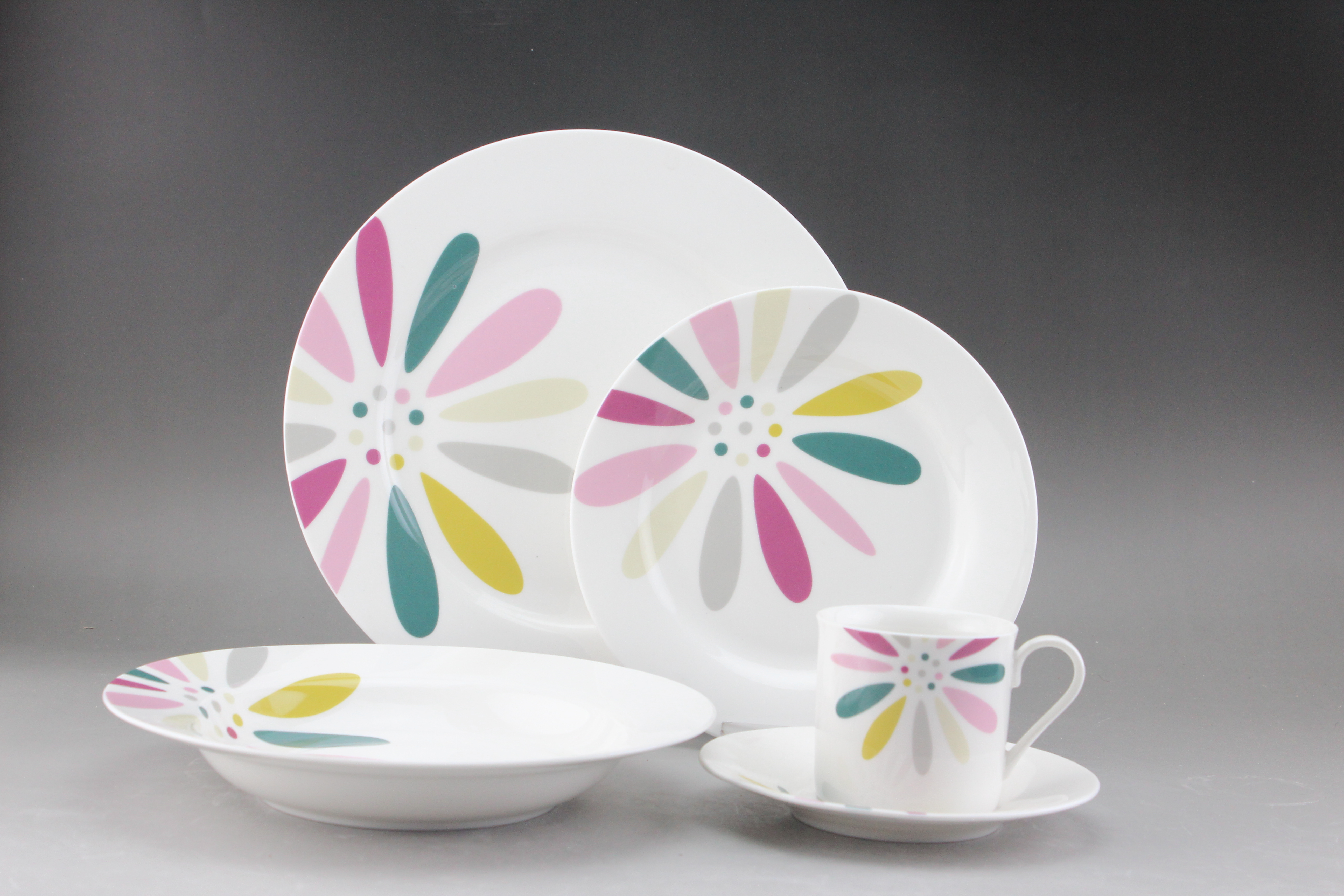 New Bone China Dinner Set