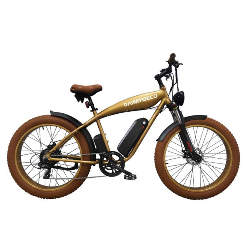 Beach Snow electric bike