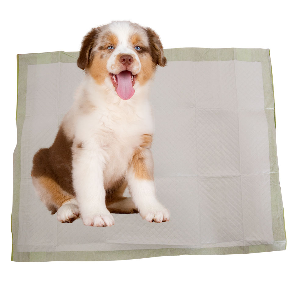 Anti-Slip With adhesive stickers Pet pads Training Pad Zero Leakage