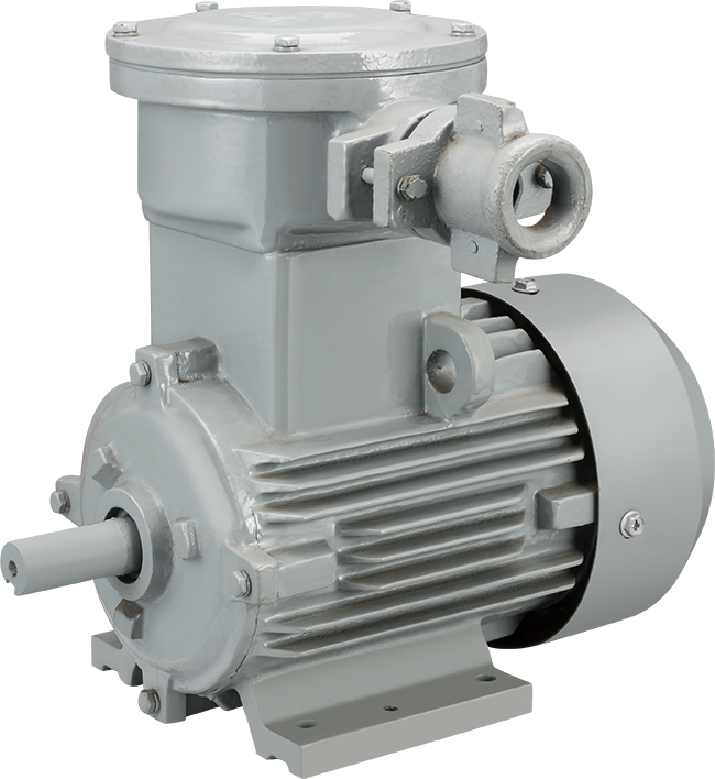 Yb2 Series Explosion-Proof Three Phase Induction Motor