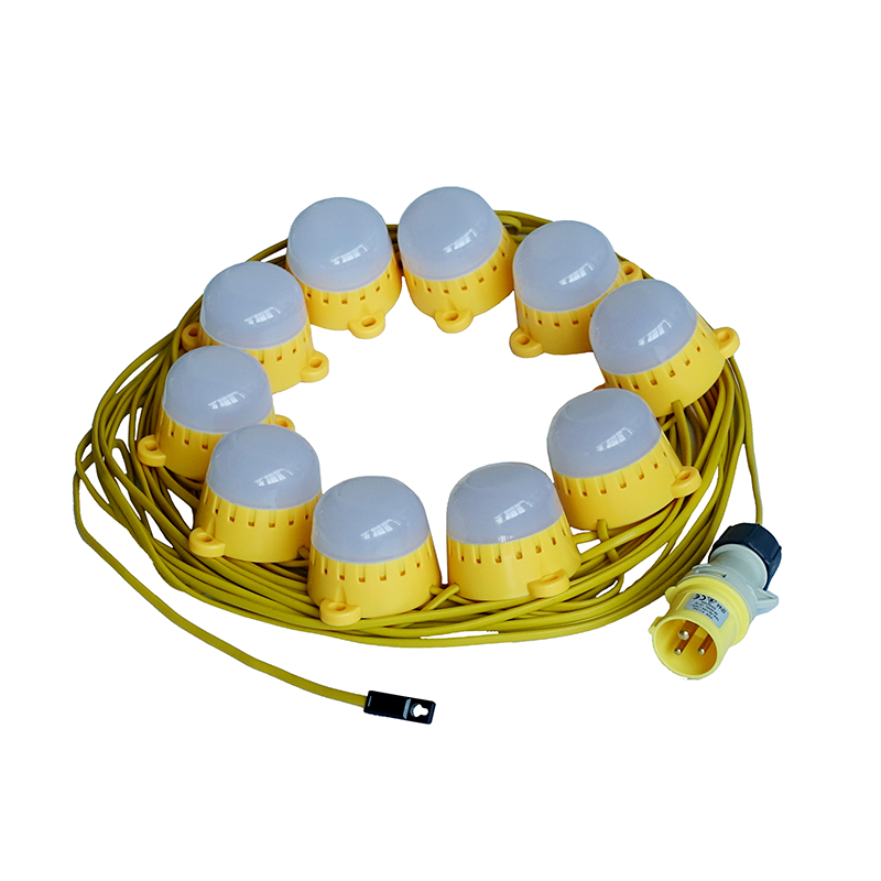 110v LED Festoon light string