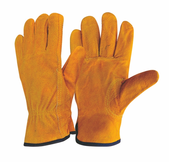 Leather Glove