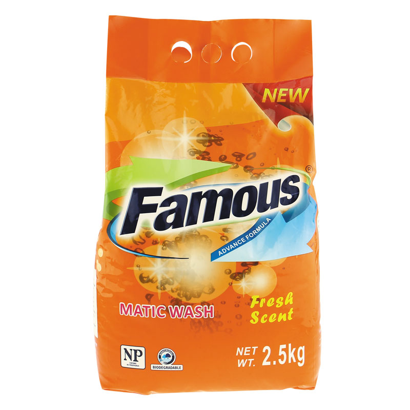 Famous Washing Powder 2500g