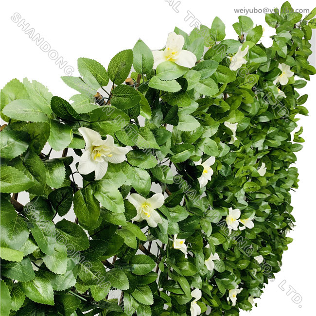 White Clamitis Trellis