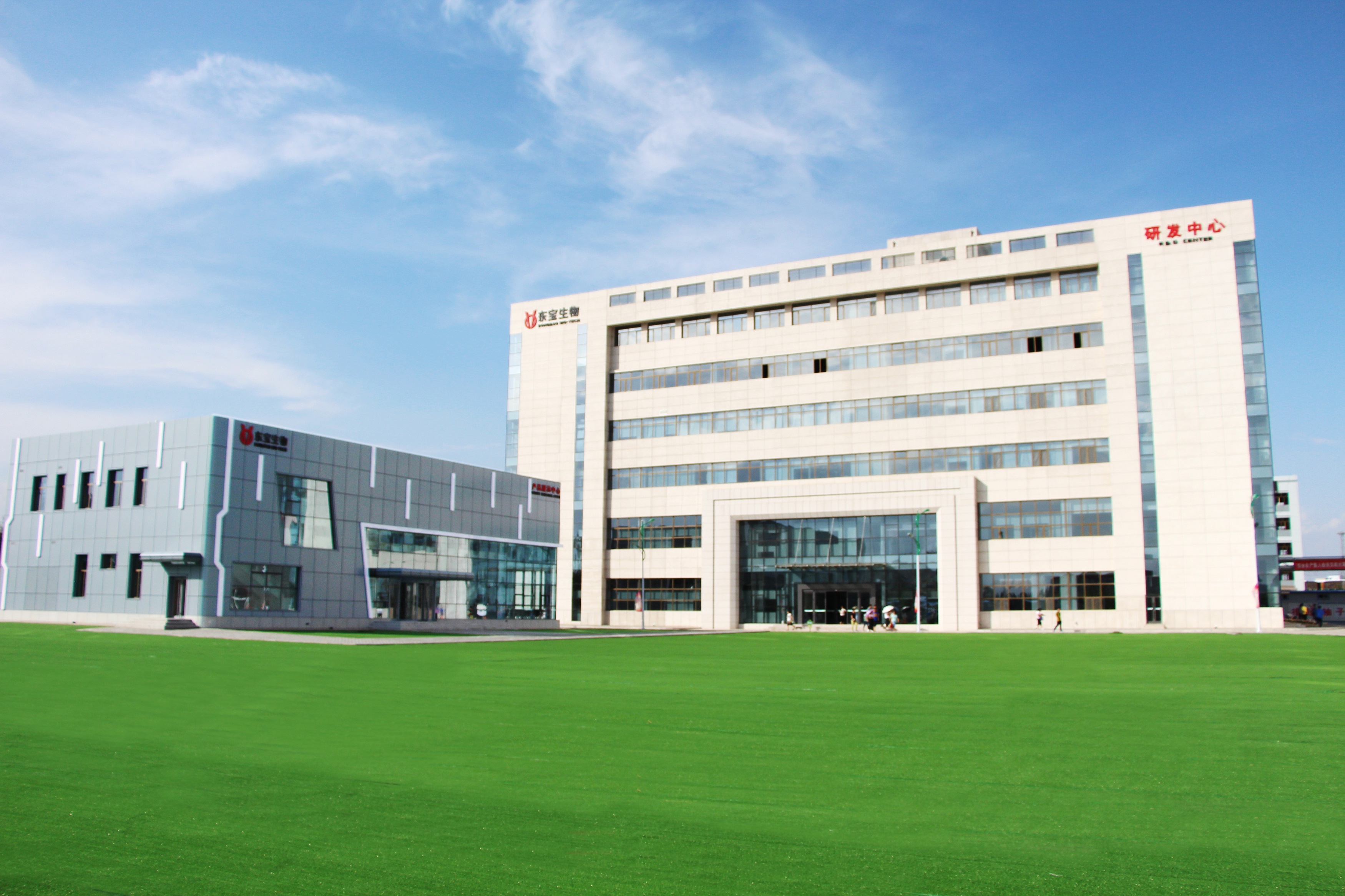 Baotou Dongbao Biotechnology Co., Ltd. – natural health products 3