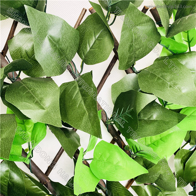 Polyester;PE & Natural Willow