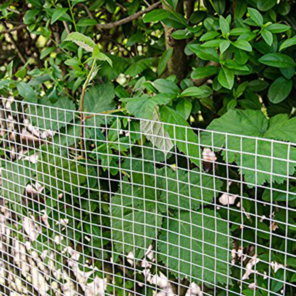 Welded wire mesh, welded Mesh