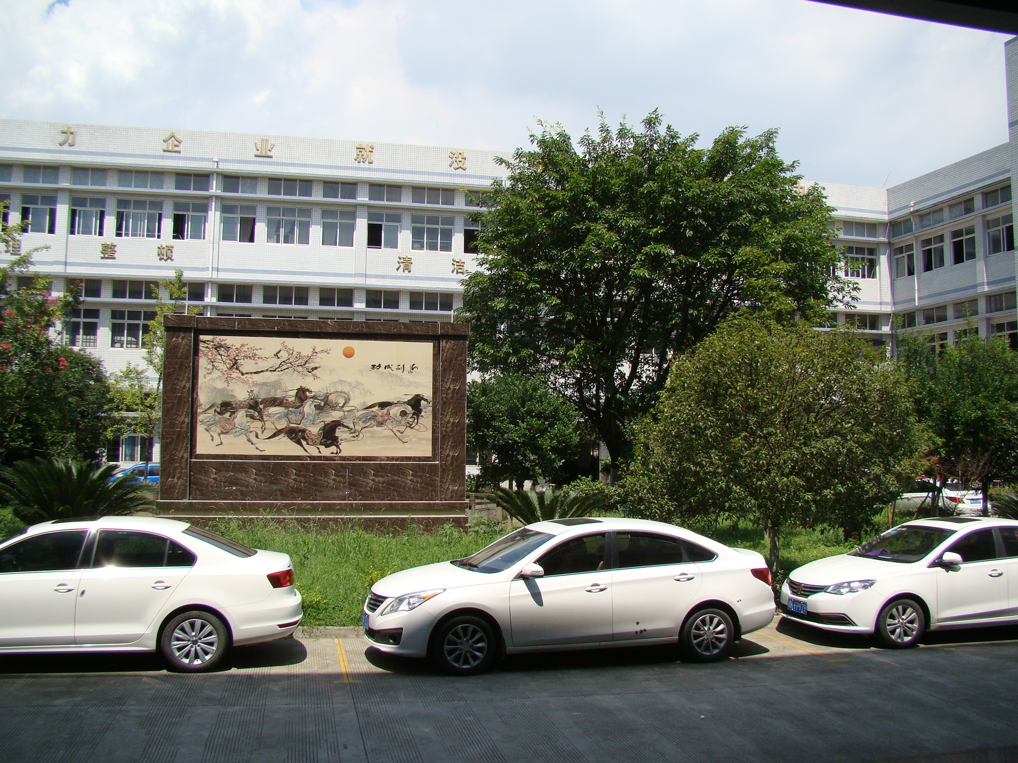 Chengdu Haixin Shoe Industry Co., Ltd. – Genuine leather women's sandals 1