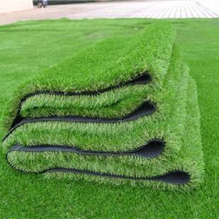 Artifical Grass