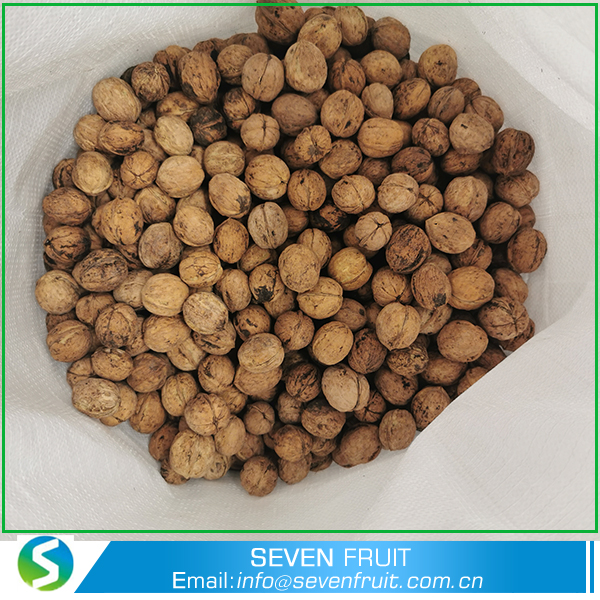 Hebei Seven Fruit Trade Co.,Ltd – bicicleta de montaña 3
