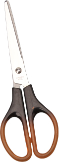 Amber Scissors；Scissors