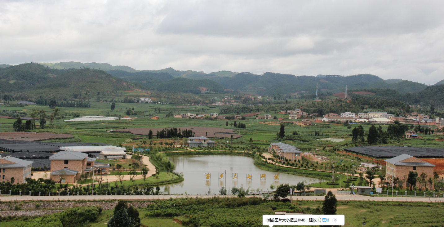 Wenshan Miaoxiang Notoginseng Industrial Co., Ltd. – Photos produits 2