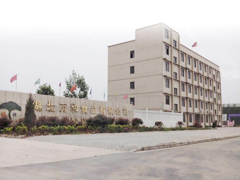 Hubei Wanhe Food Co., Ltd. – Mushrooms 1