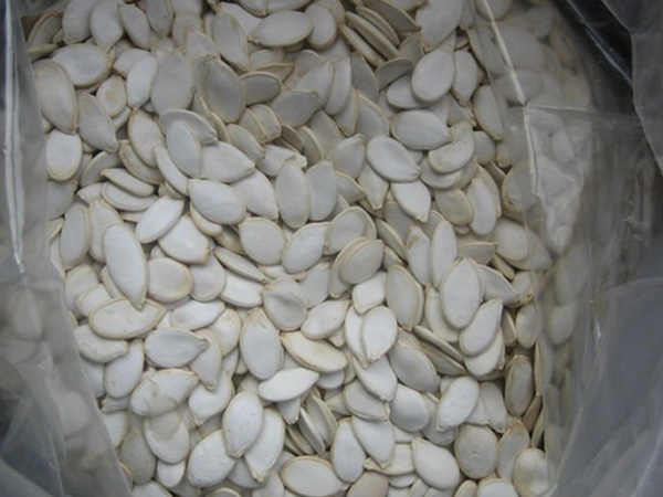 Snow White Pumpkin Seeds