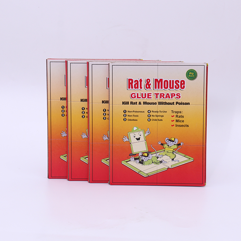 mouse glue trap