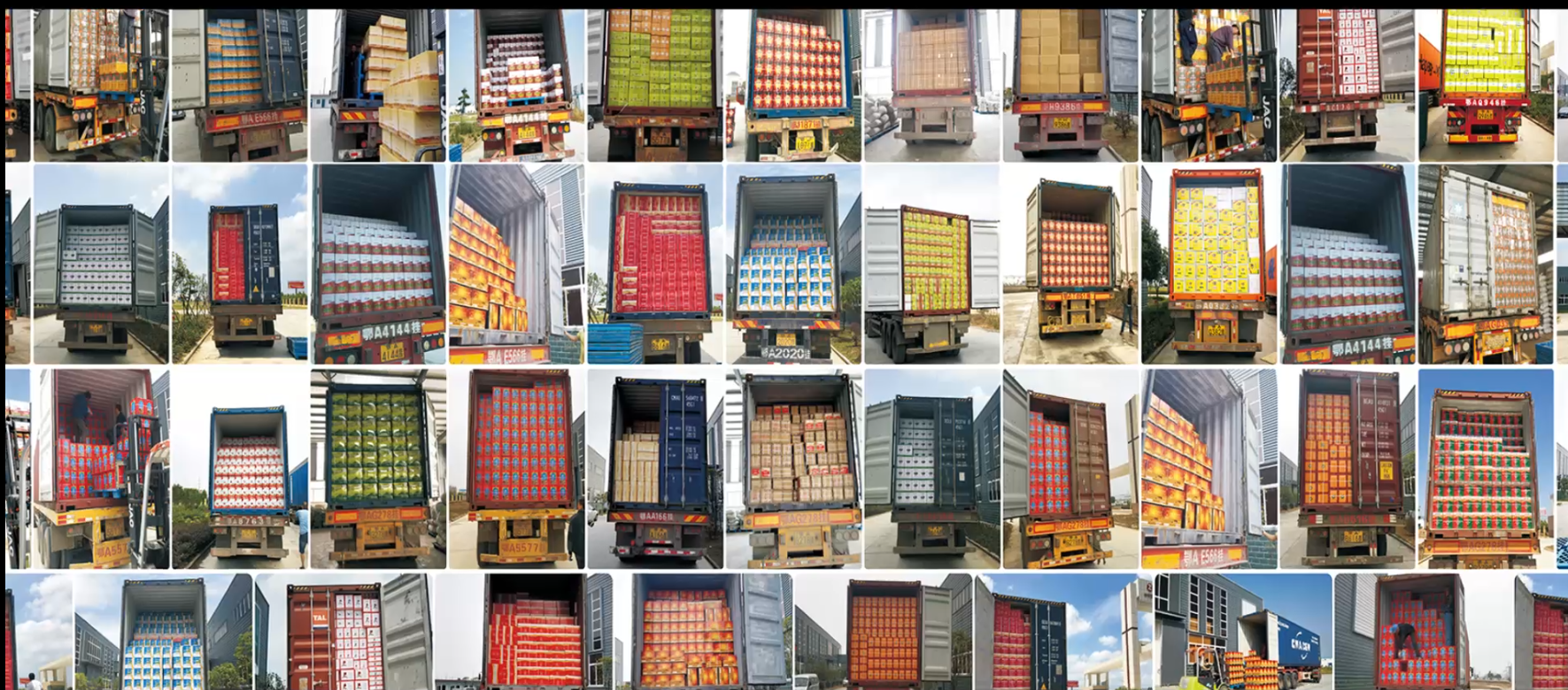 Hubei Shenwu Lüyuan Agricultural Technology Co., Ltd. – Product photos 2