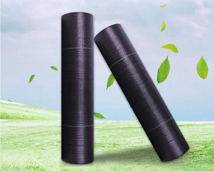 Camping Mesh