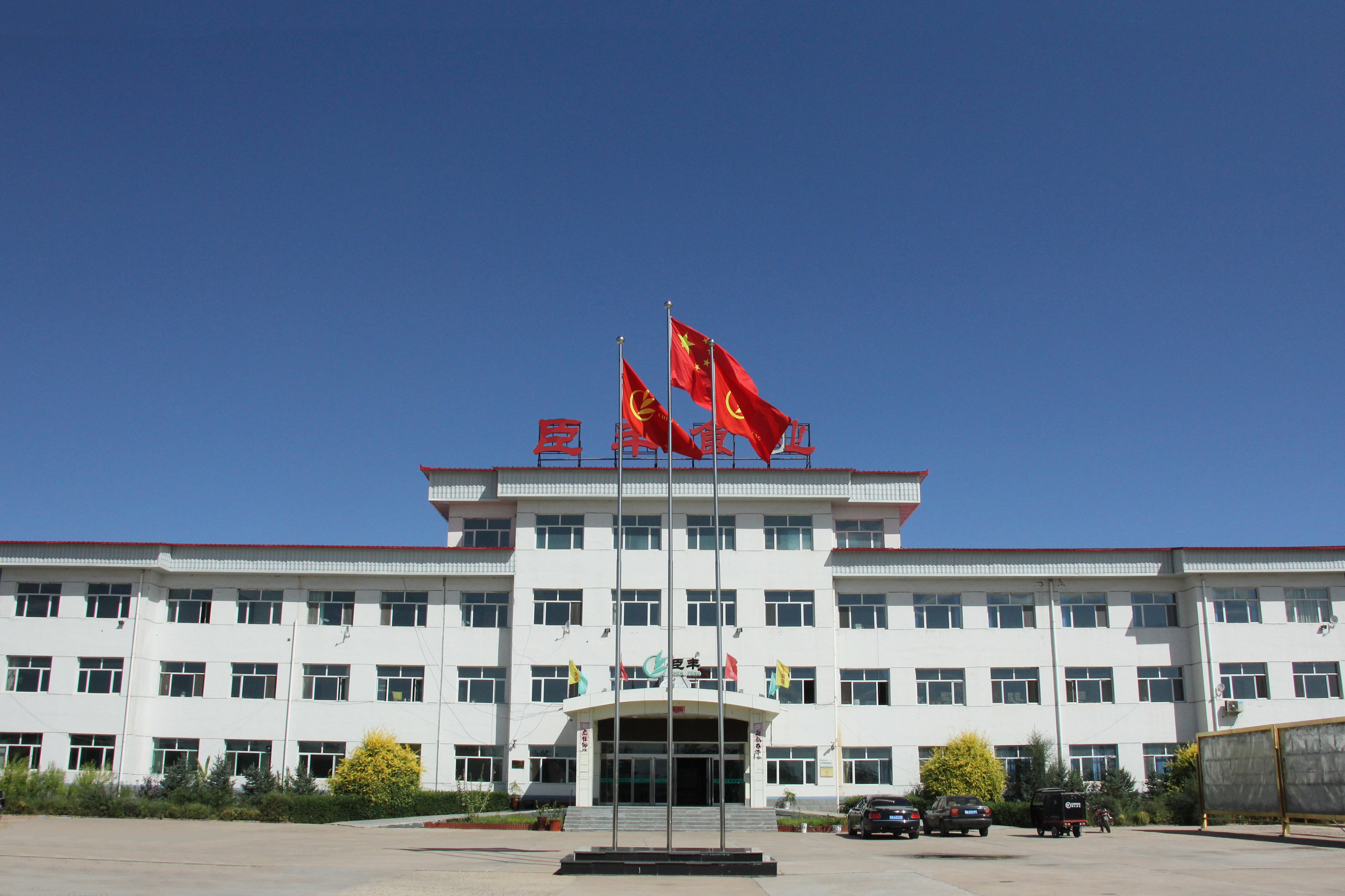 Shanxi Aixili Biotechnology Co., Ltd. – buckwheat tea 1