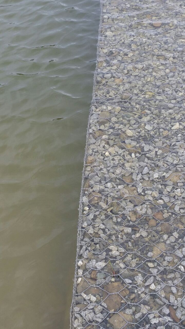 Slope protection gabion