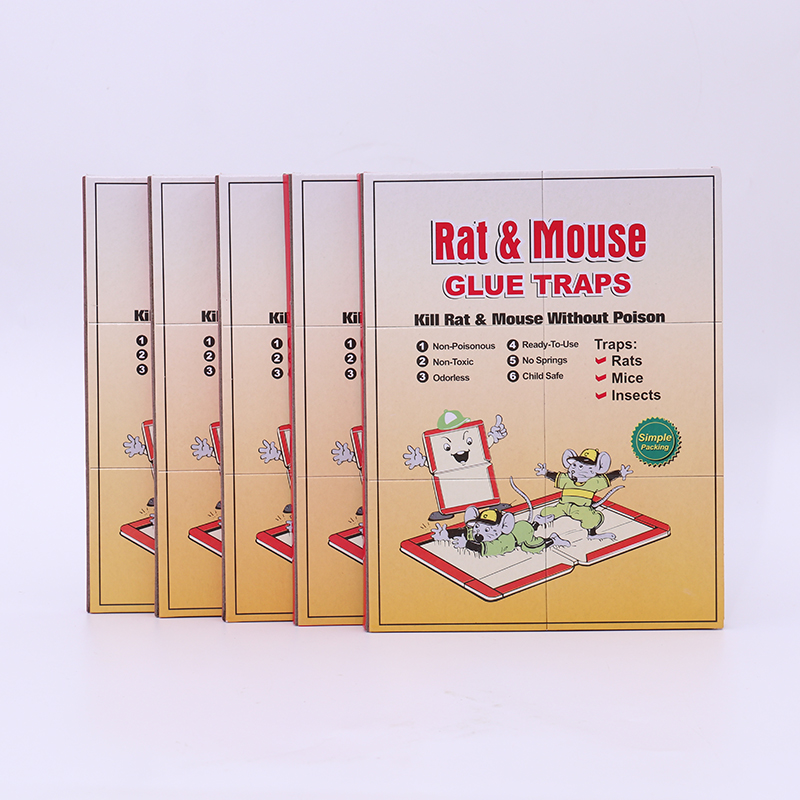 Mouse glue trap