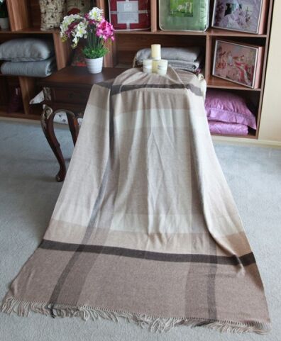 indoor&outdoor multifunction waterproof picnic blanket