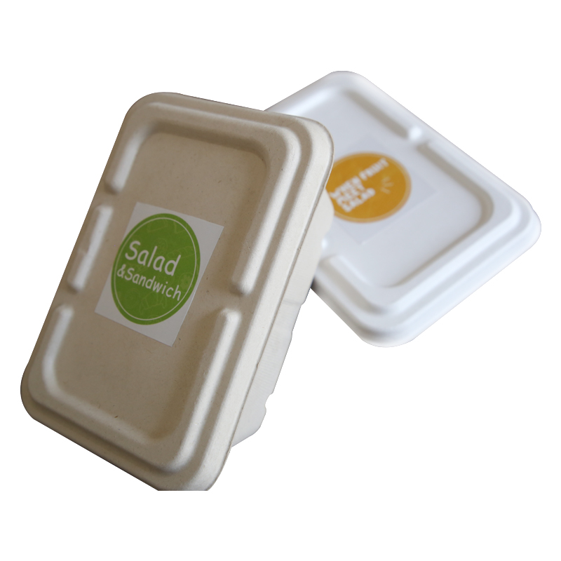 Disposable bamboo pulp Biodegradable Take Away Bento Fast Food Container