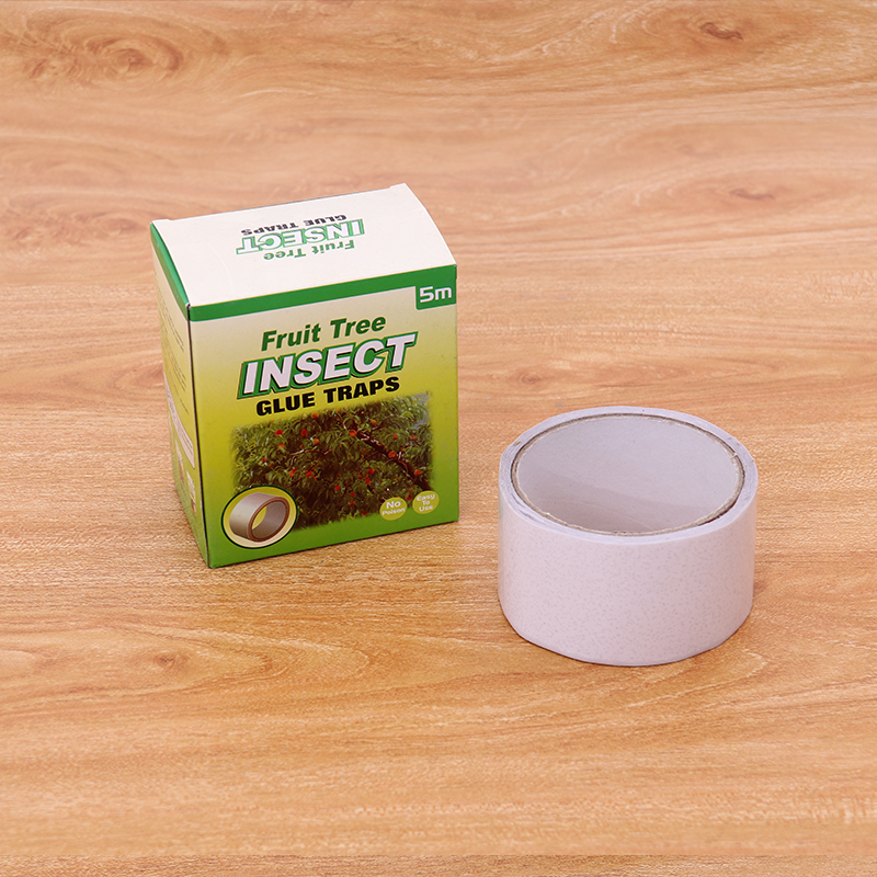 Insect Glue Traps