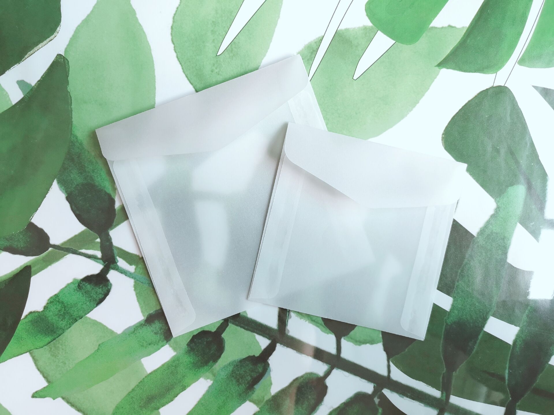 Translucent Paper Envelope