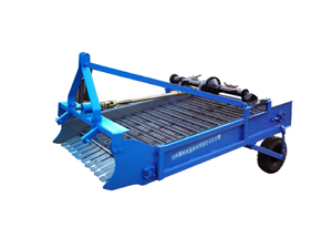 Potato harvester
