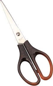Amber Scissors；Scissors