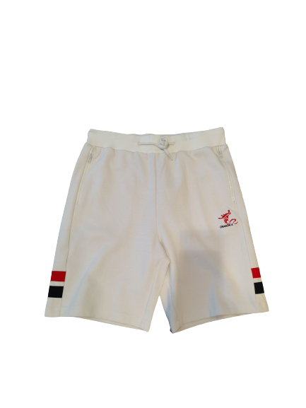 Mens shorts sport shorts quick dry