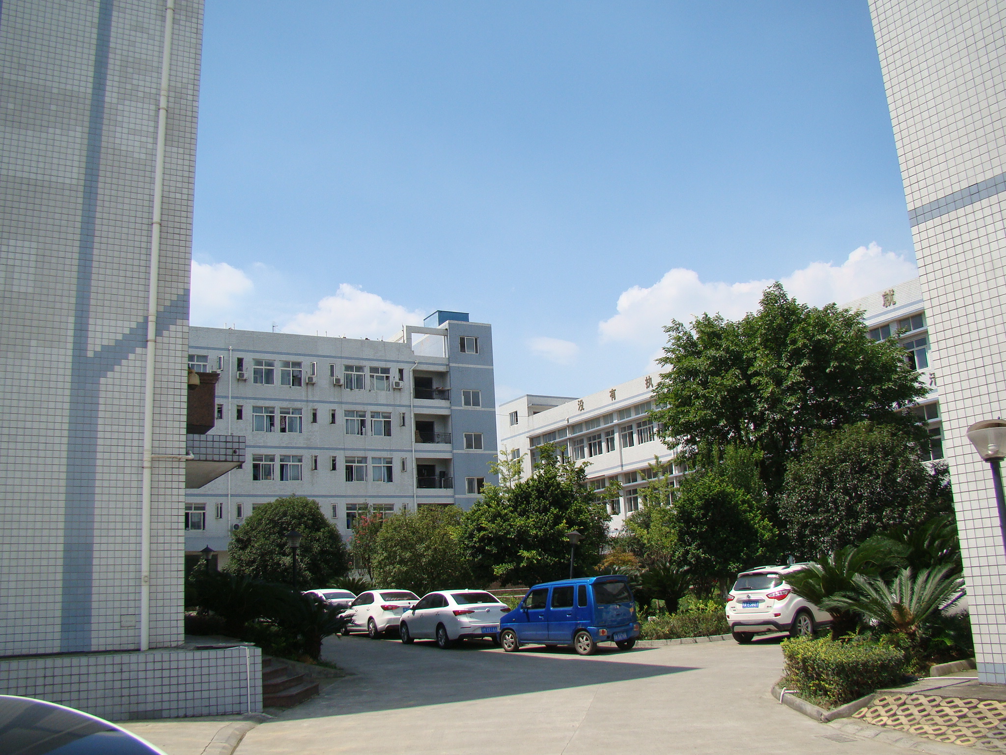 Chengdu Haixin Shoe Industry Co., Ltd. – women's shoes 3