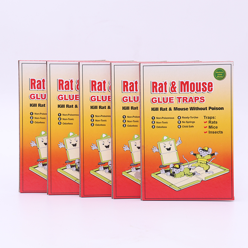 Mouse glue trap