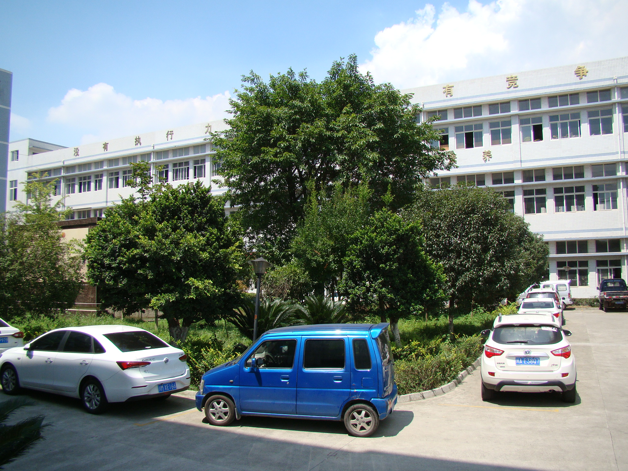 Chengdu Haixin Shoe Industry Co., Ltd. – women's leather shoes 2