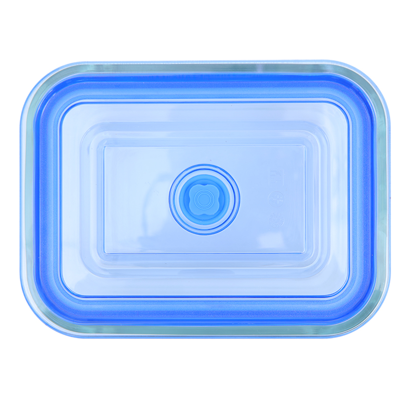 Borosilicate glass food storage container with silicone vacuum seal