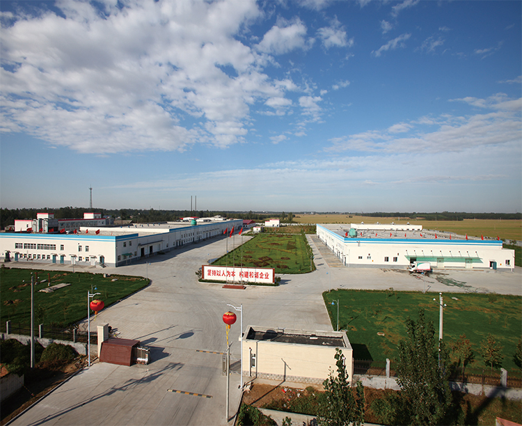 Wuqiang Xingdou International Trading Co., Ltd. – Other gifts and premiums 1