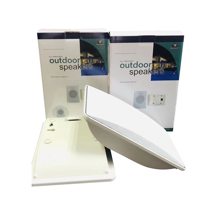 5inch Wall Speaker