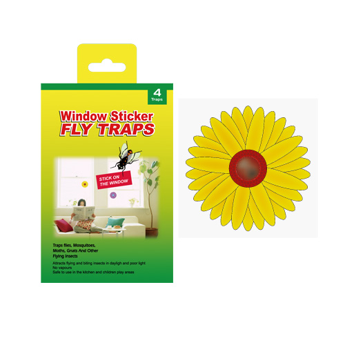 Insect Glue Traps