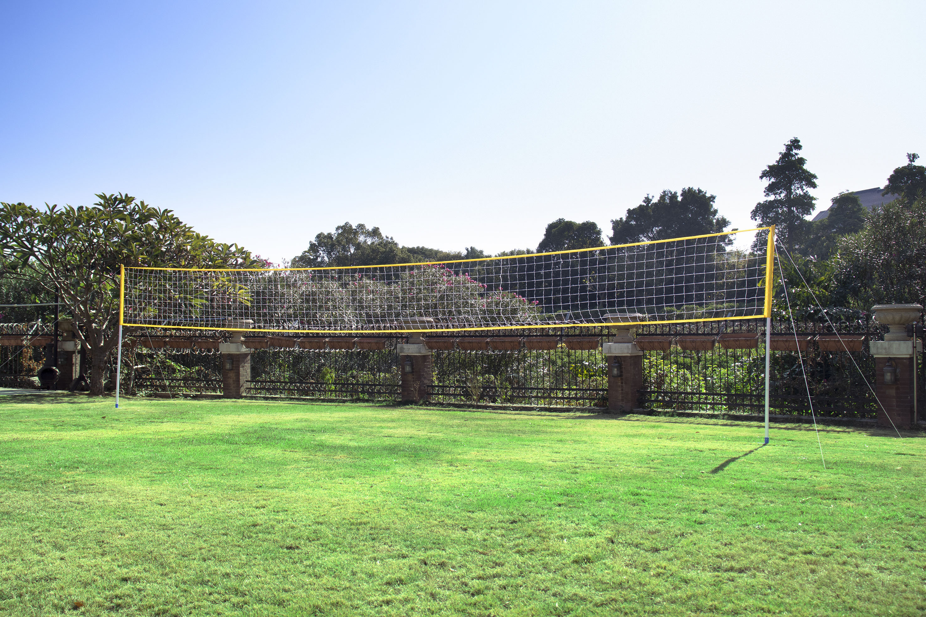 Net Set