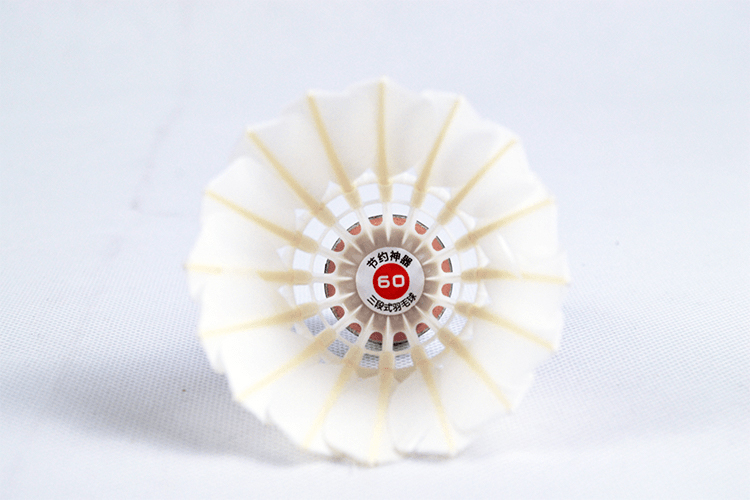 Badminton shuttlecock